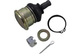 BALL JOINT LOWER CF MOTO