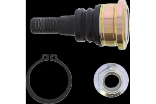 BALLJOINT LOWER POL RZR MSE