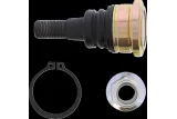 BALLJOINT LOWER POL RZR MSE