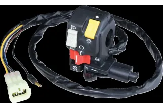 SWITCH BLOCK ASSEMBLY HONDA