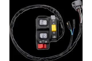 SWITCH BLOCK ASSEMBLY HONDA