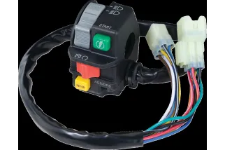 SWITCH BLOCK ASSEMBLY CANAM