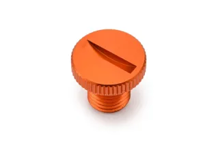 MIRROR PLUG BOLT OR RIGHT