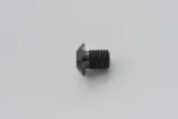 MIRROR PLUG BOLT BK RIGHT