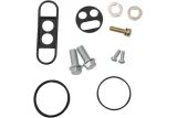 REBUILD KIT PETCOCK YAM