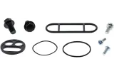 REBUILD KIT PETCOCK AC