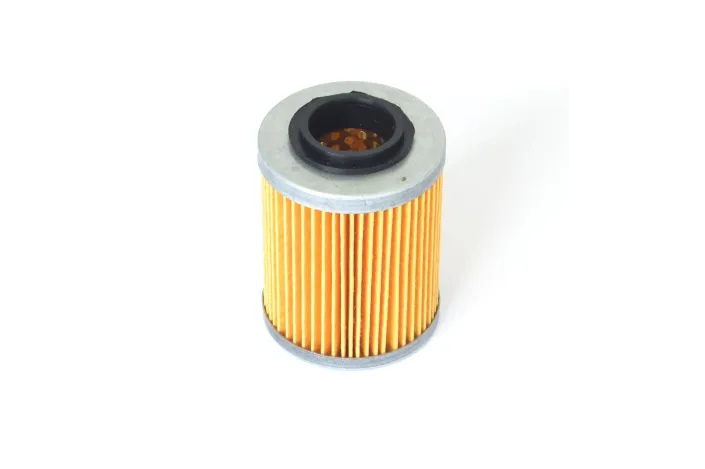 Filtre à huile APR/CAN AM