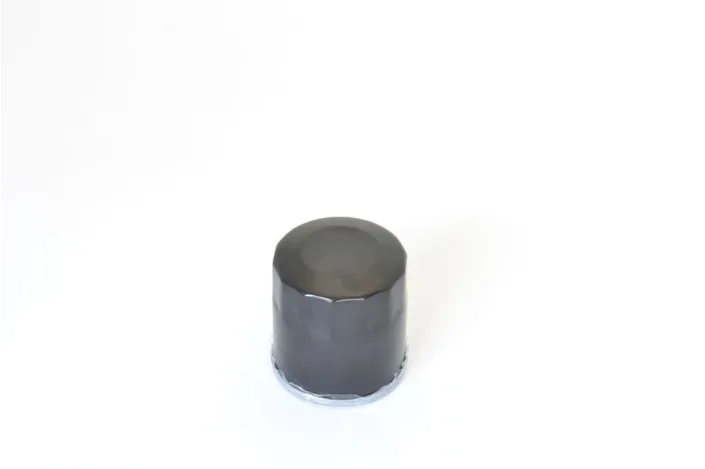 OIL FILTER POLARIS