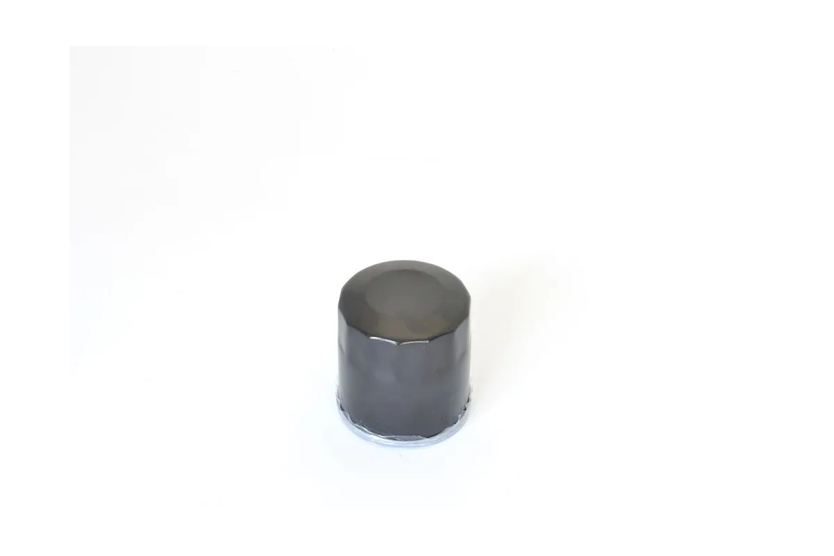 OIL FILTER POLARIS
