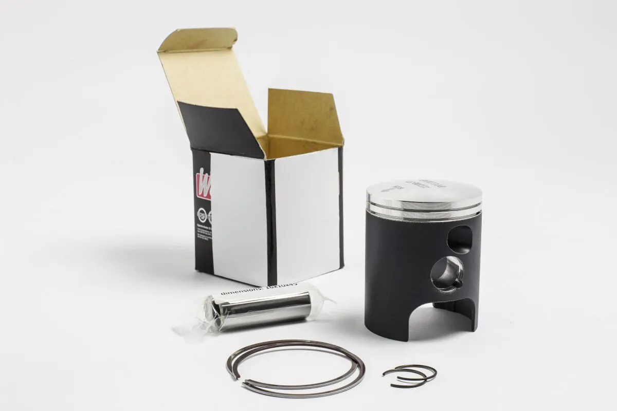 PISTON KIT MITORAPTORW8 55 95