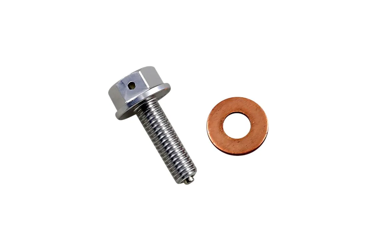 DRAIN PLUG MAGNETIC SLVR