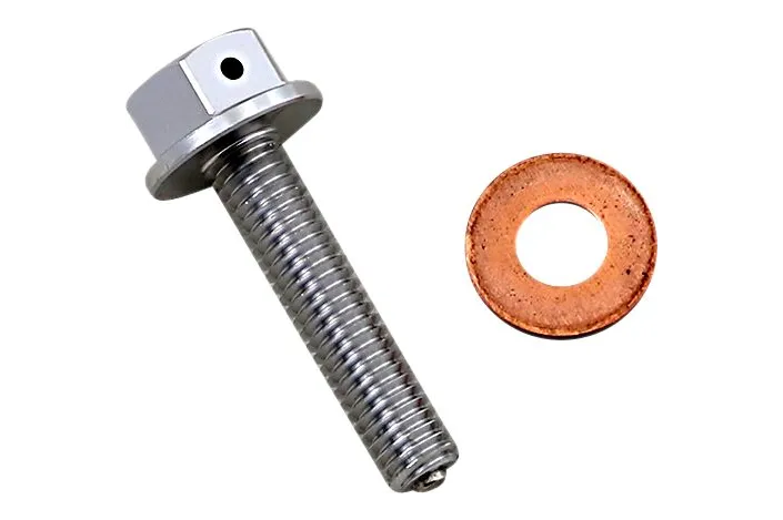 DRAIN PLUG MAGNETIC SLVR