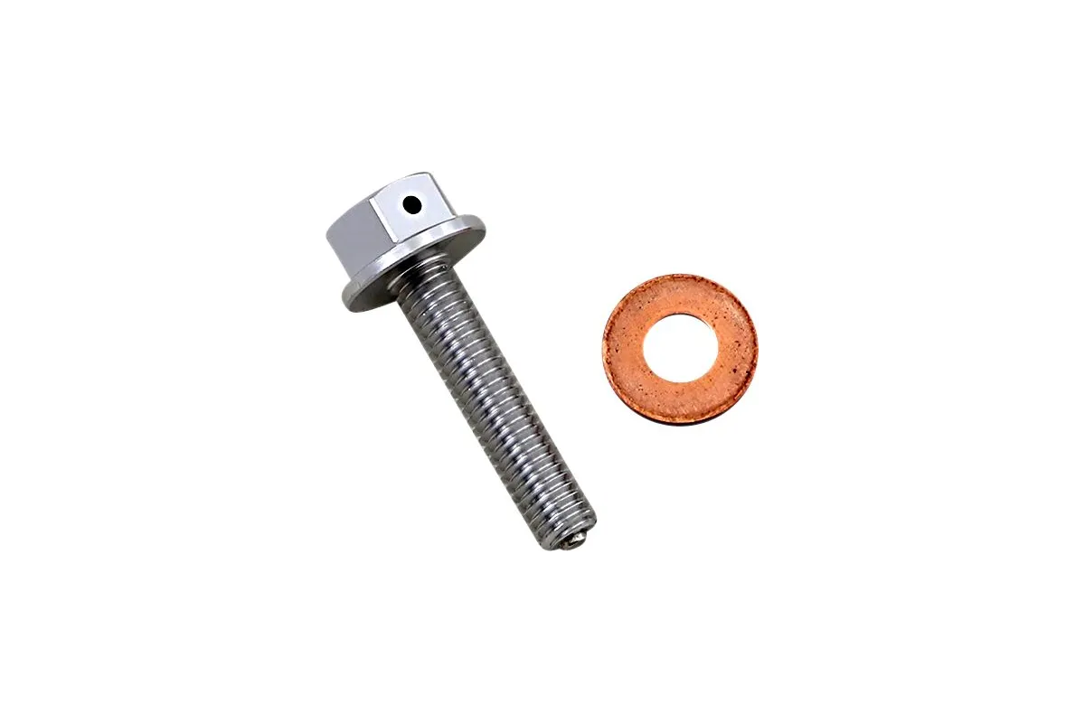 DRAIN PLUG MAGNETIC SLVR