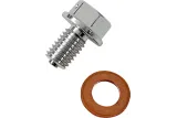 DRAIN PLUG MAGNETIC SLVR