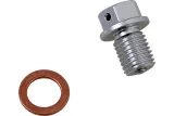 DRAIN PLUG MAGNETIC SLVR