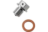 DRAIN PLUG MAGNETIC SLVR