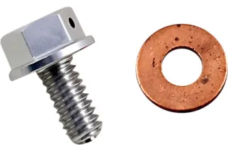 DRAIN PLUG MAGNETIC SLVR