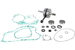 CRANK W/BRG + GASKET