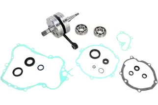 CRANK W/BRG + GASKET