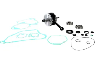 CRANK W/BRG + GASKET