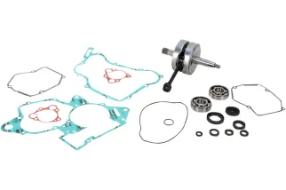 CRANK W/BRG + GASKET