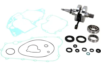 CRANK W/BRG + GASKET