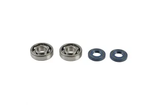 CRANKSHAFT REBUILDING KIT