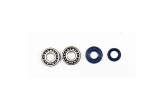 CRANKSHAFT REBUILDING KIT