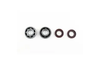 CRANKSHAFT REBUILDING KIT