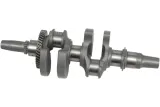 CRANKSHAFT KIT 4423-1