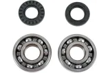 BEARINGSW/SLS CRNK-YZ125