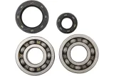 BEARINGS CRANK CR250