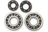 BEARINGS CRANK KX250