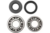 BEARINGS CRANK YZ85