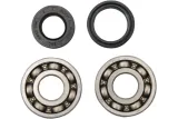 BEARINGS CRANK YZ125