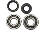 BEARINGS CRANK YZ125