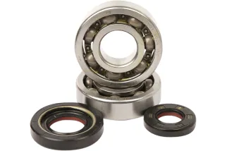 BEARINGS CRANK YZ250