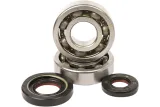BEARINGS CRANK YZ250