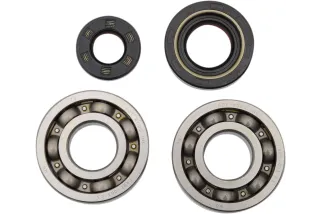 BEARINGS CRANK YZ250