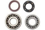 BEARINGS CRANK YFS200