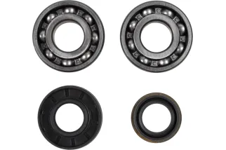 BEARINGS CRANK POLARIS