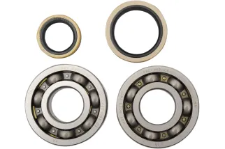 BEARINGS CRANK