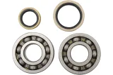 BEARINGS CRANK