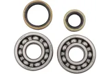 BEARINGS CRANK