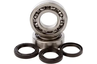 BEARINGS CRANK TRX450