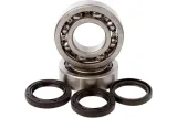 BEARINGS CRANK TRX450
