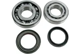 BEARINGS CRANK TRX450
