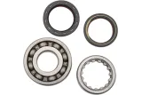 BEARINGS CRANK CRF250R