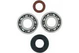 BEARING CRANK MSE KTM