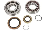 BEARING CRANK GAS GAS